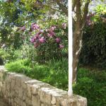 Apartments and Rooms Artemida – 📍Antuna Barca 6, Lapad, 20000 Dubrovnik, Croatie