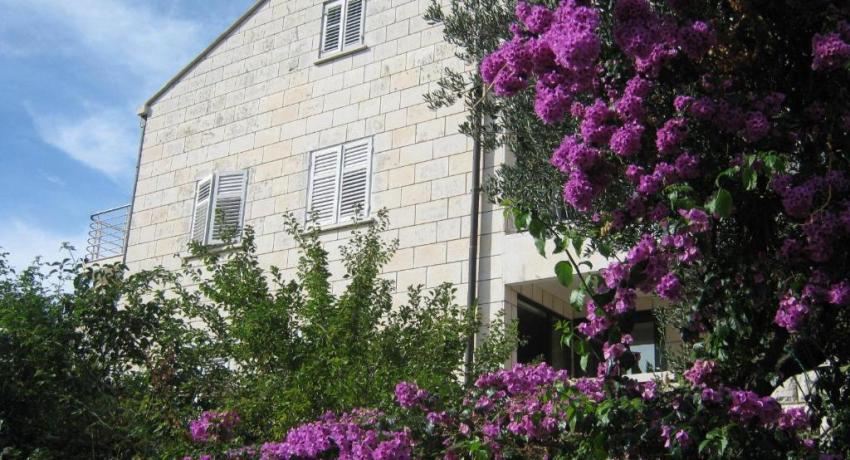 Apartments and Rooms Artemida – 📍Antuna Barca 6, Lapad, 20000 Dubrovnik, Croatie