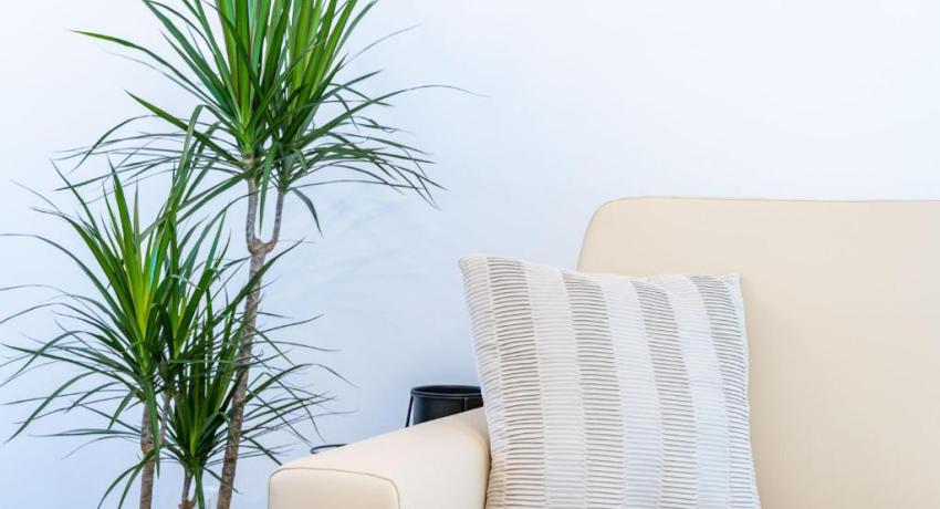 Apartments Zadro– 📍4 Ulica Petra Zoranića 2 kat, Lapad, 20000 Dubrovnik