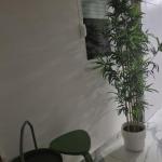 Blue Eden in Zadar Old Town Private Penthouse
