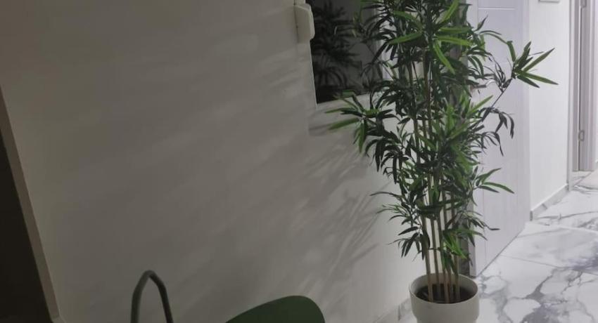 Blue Eden in Zadar Old Town Private Penthouse