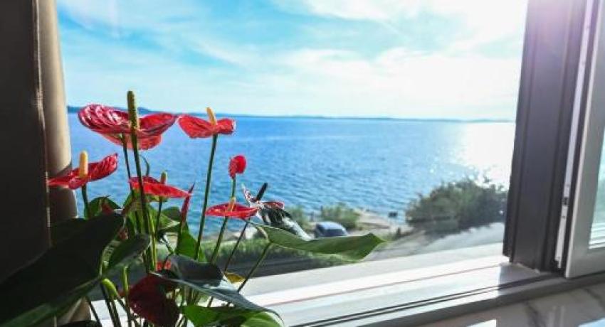Luxury Villa Zlatko