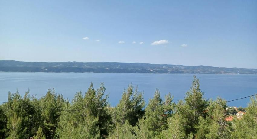 APARTMANI JELIĆ 📍 Put Starog Sela 49, 21310 Stanići, Croatie