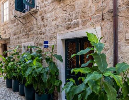 B&B BUZA HOUSE📍 6 Ulica Đura Baljevi, Vieille ville, 20000 Dubrovnik, Croatie