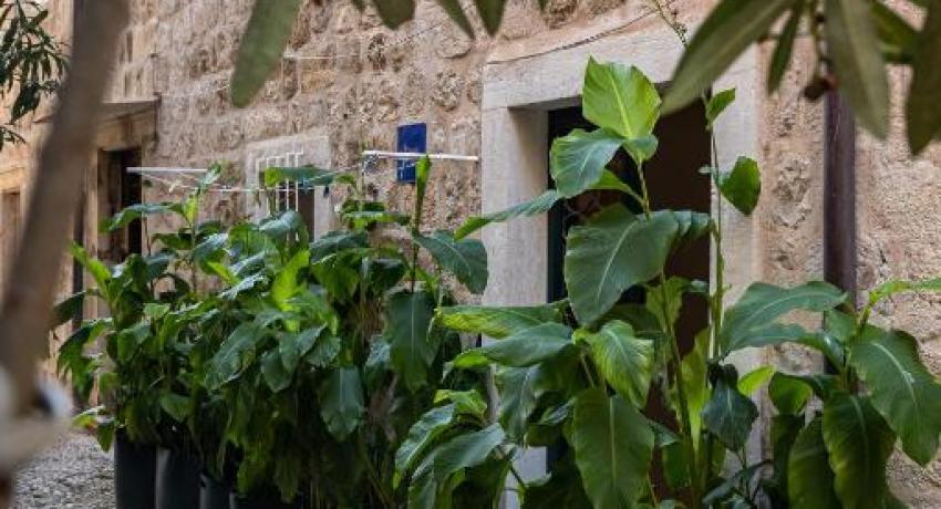 B&B BUZA HOUSE📍 6 Ulica Đura Baljevi, Vieille ville, 20000 Dubrovnik, Croatie