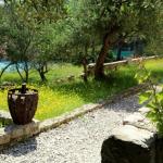 Eco Residence Rokotov 📍 Uvala Sv Ante 18, 21460 Stari Grad, Croatie