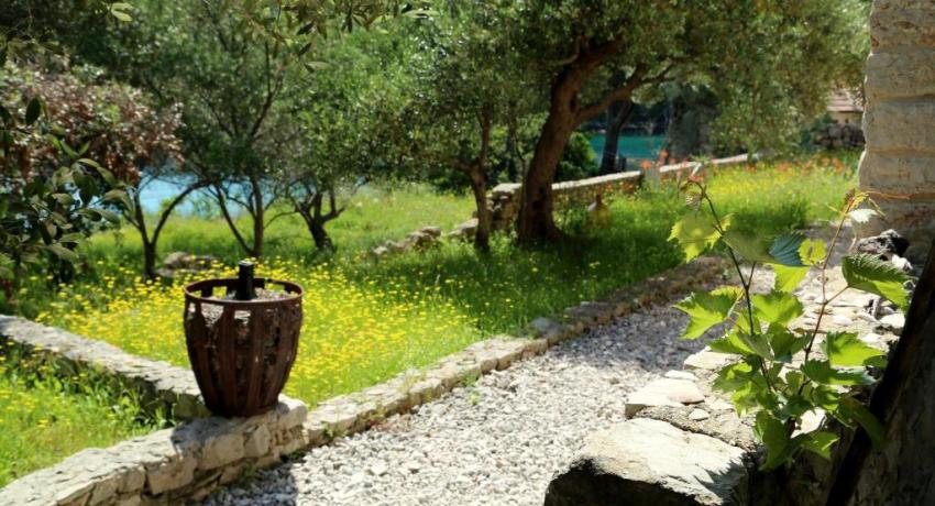 Eco Residence Rokotov 📍 Uvala Sv Ante 18, 21460 Stari Grad, Croatie